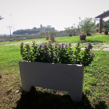 Podere Pilar Montevettolini
