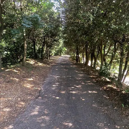 Podere Pilar